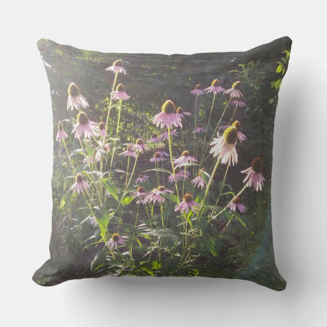 Echinacea Bloemen in de Zon Kussen (Voorkant)