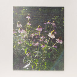 Echinacea Bloemen in de Zon Legpuzzel