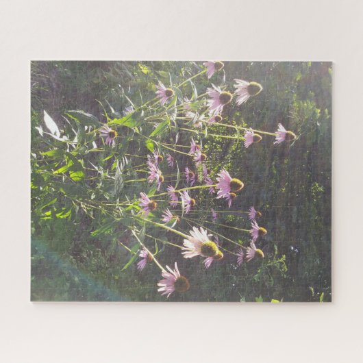 Echinacea Bloemen in de Zon Legpuzzel (Horizontaal)