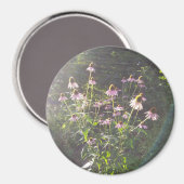 Echinacea Bloemen in de Zon Magneet (Voorkant / Achterkant)