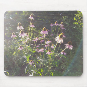 Echinacea Bloemen in de Zon Muismat