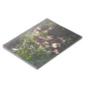 Echinacea Bloemen in de Zon Notitieboek (Linkerzijde)