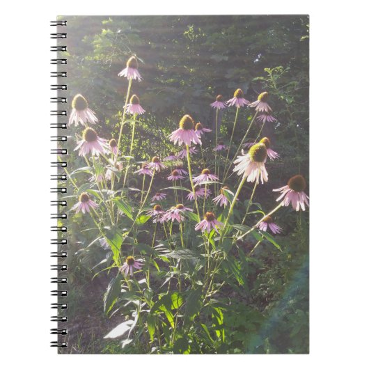 Echinacea Bloemen in de Zon Notitieboek (Voorkant)