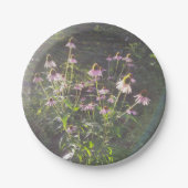 Echinacea Bloemen in de Zon Papieren Bordje (Voorkant)
