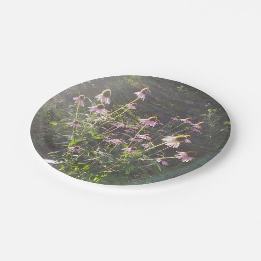 Echinacea Bloemen in de Zon Papieren Bordje (Gekanteld)