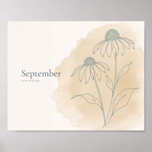 Echinacea Botanische Kunstprint | September Poster (Voorkant)