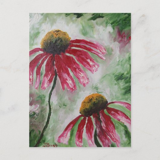 Echinacea Briefkaart (Voorkant)