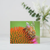 Echinacea Coneflower and Bee Briefkaart (Staand voorkant)