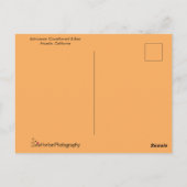 Echinacea Coneflower and Bee Briefkaart (Achterkant)