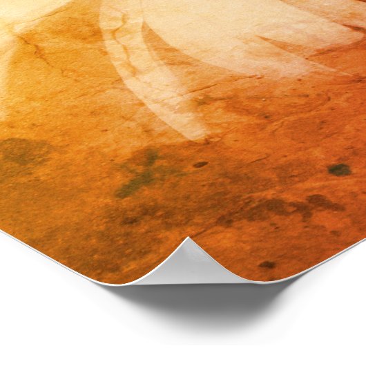 Echinacea Coneflower Daisy Abstract Grunge Poster (Hoek)