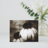 Echinacea Dark Dreams Briefkaart (Staand voorkant)