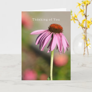 Echinacea Denk Aan Jou (fotografie door mij) Kaart