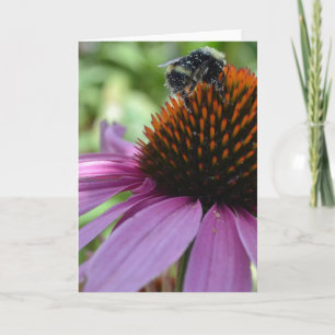 Echinacea en Bij Kaart