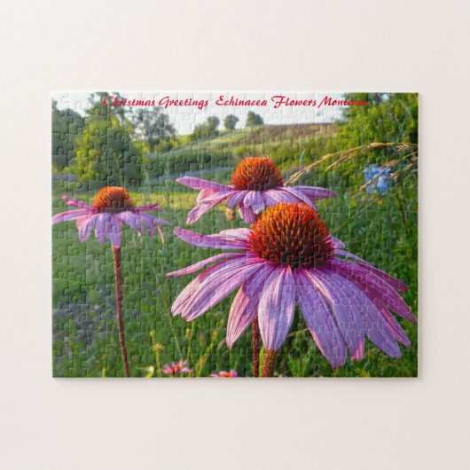Echinacea Flowers Montana kerstcadeautjes Legpuzzel (Horizontaal)