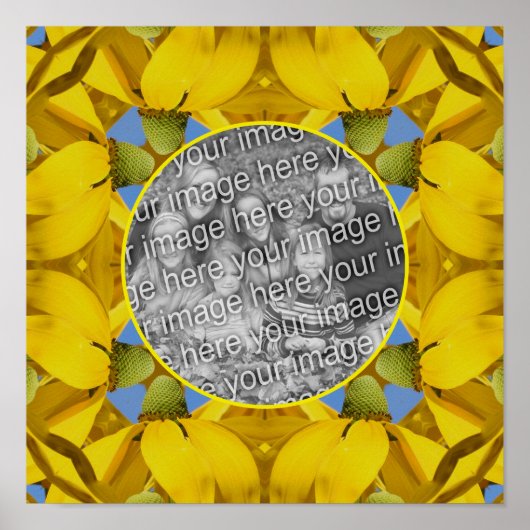 Echinacea Flowers Natuur Art Creëer Uw eigen foto Poster (Voorkant)