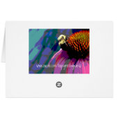 Echinacea Fotografie met Roze Bloem (Achterkant Horizontaal)