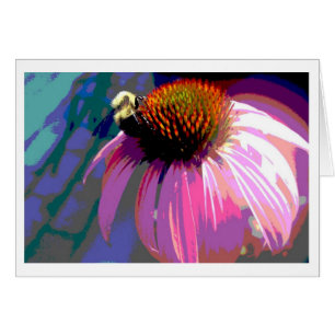 Echinacea Fotografie met Roze Bloem