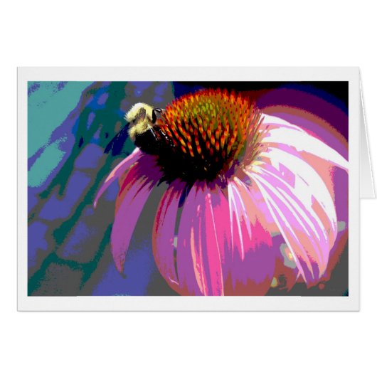 Echinacea Fotografie met Roze Bloem (Voorkant Horizontaal)