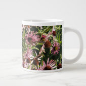 Echinacea Grote Koffiekop (Rechts)