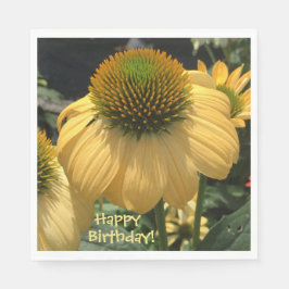 Echinacea Happy Birthday Servet