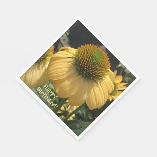 Echinacea Happy Birthday Servet (Hoek)