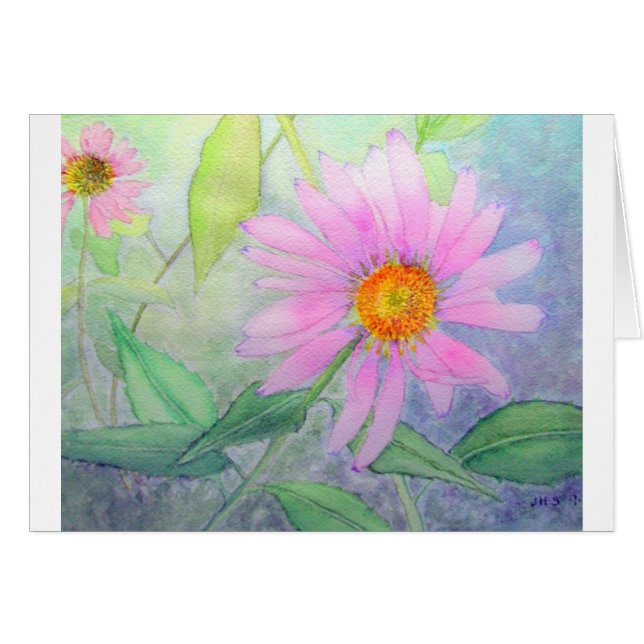 Echinacea in Bloom (Voorkant Horizontaal)