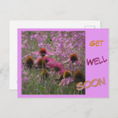 Echinacea Klant. Tekst Beterschap Kaart (Voorkant / Achterkant)