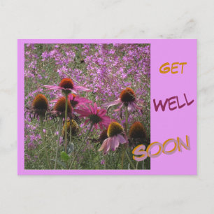 Echinacea Klant. Tekst Beterschap Wenskaart Briefkaart