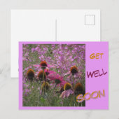 Echinacea Klant. Tekst Voorspoedige Herstel Ansich Briefkaart (Voorkant / Achterkant)
