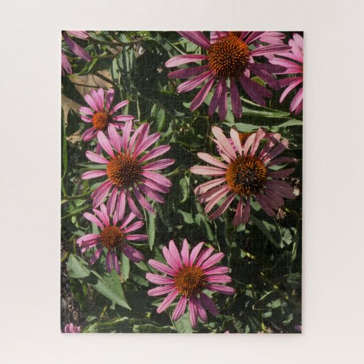 Echinacea Legpuzzel (Verticaal)