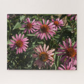 Echinacea Legpuzzel (Horizontaal)