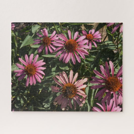 Echinacea Legpuzzel (Horizontaal)