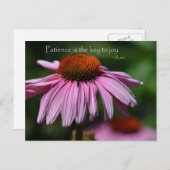 Echinacea met geduld citaat briefkaart (Voorkant / Achterkant)