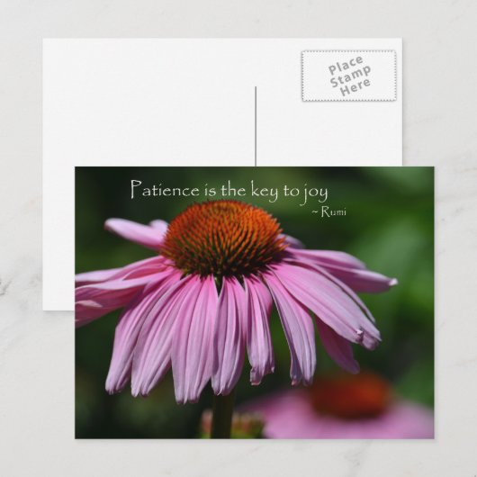 Echinacea met geduld citaat briefkaart (Voorkant / Achterkant)