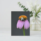 Echinacea paarse coneflower briefkaart (Staand voorkant)