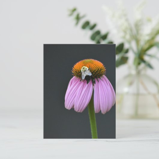 Echinacea paarse coneflower briefkaart (Staand voorkant)
