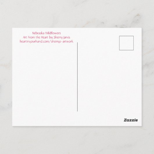 Echinacea Paarse Coneflower Post Kaart (Achterkant)