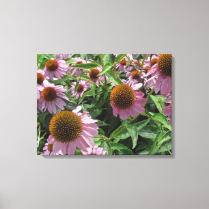 Echinacea Paarse en gele kloonbloemen Canvas Afdruk