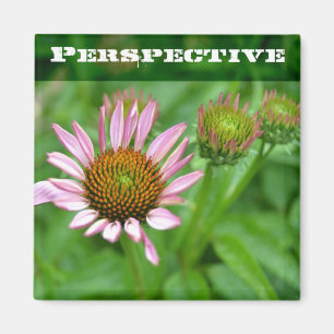 Echinacea Perspective Magnet