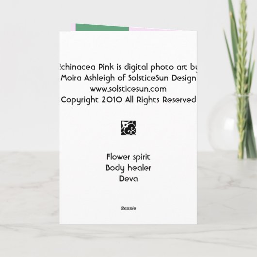 Echinacea Pink Kaart (Achterkant)