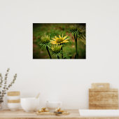 Echinacea, Poster (Keuken)