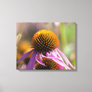 Echinacea Purpurea Paarse Coneflower Canvas Afdruk