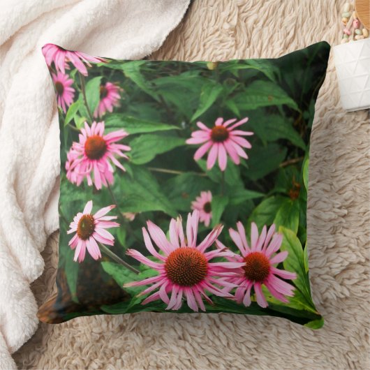 Echinacea purpurea, Paarse coneflower Sierkussen (Deken)