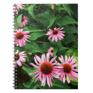 Echinacea purpurea, Paarse zonnebloem Notitieboek