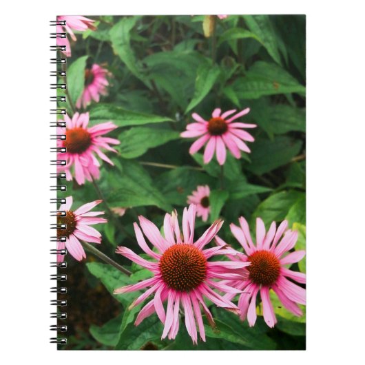 Echinacea purpurea, Paarse zonnebloem Notitieboek (Voorkant)