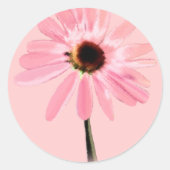 Echinacea purpurea ronde sticker (Voorkant)