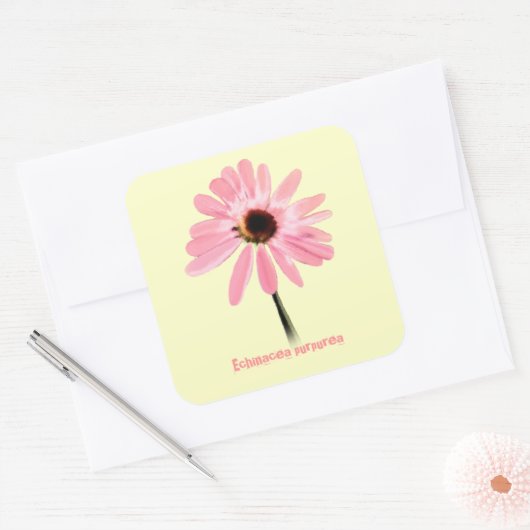 Echinacea purpurea vierkante sticker (Envelop)