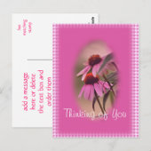 Echinacea & Seersucker Briefkaart- personaliseren Briefkaart (Voorkant / Achterkant)