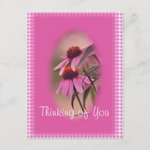 Echinacea & Seersucker Briefkaart- personaliseren Briefkaart