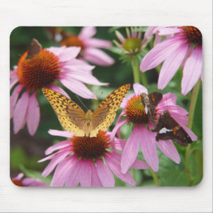 echinacea struik vlinders muismat